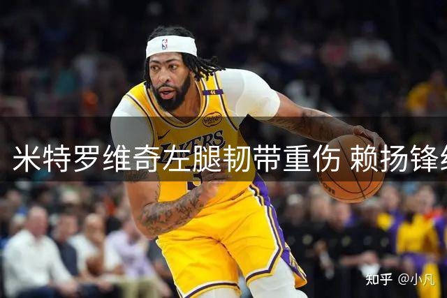 米特罗维奇左腿韧带重伤 赖扬锋线大将恐缺阵三个月