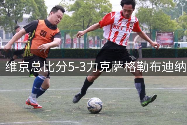维京总比分5-3力克萨格勒布迪纳摩 首获欧冠正赛资格